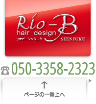 Rio-Bロゴタイプ
